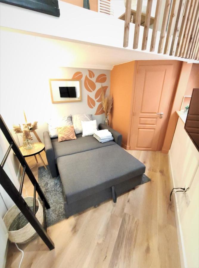Le Lanternier - Hypercentre Les Quais - Netflix Apartment Toulouse Ngoại thất bức ảnh